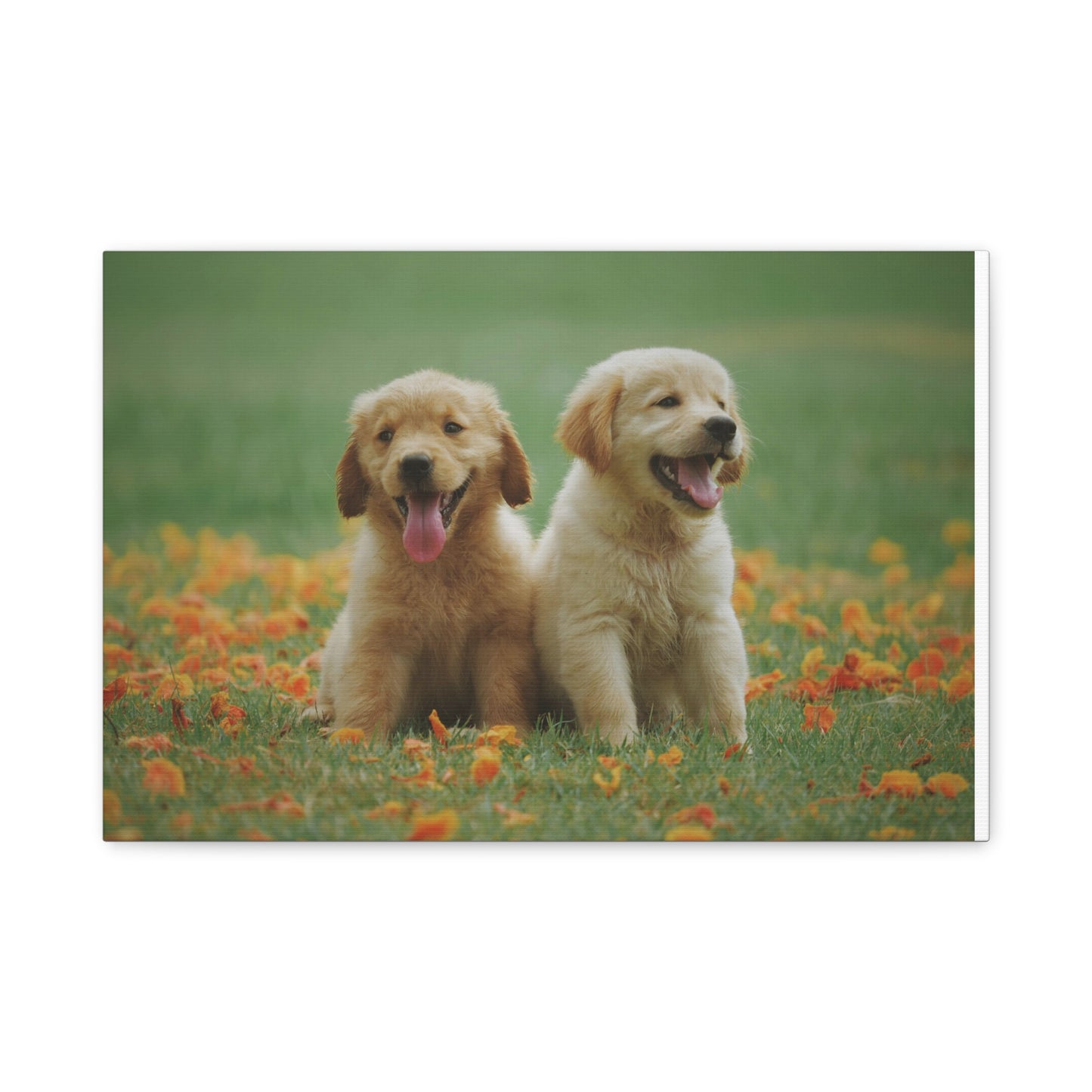 Wall Art for Dog Lovers