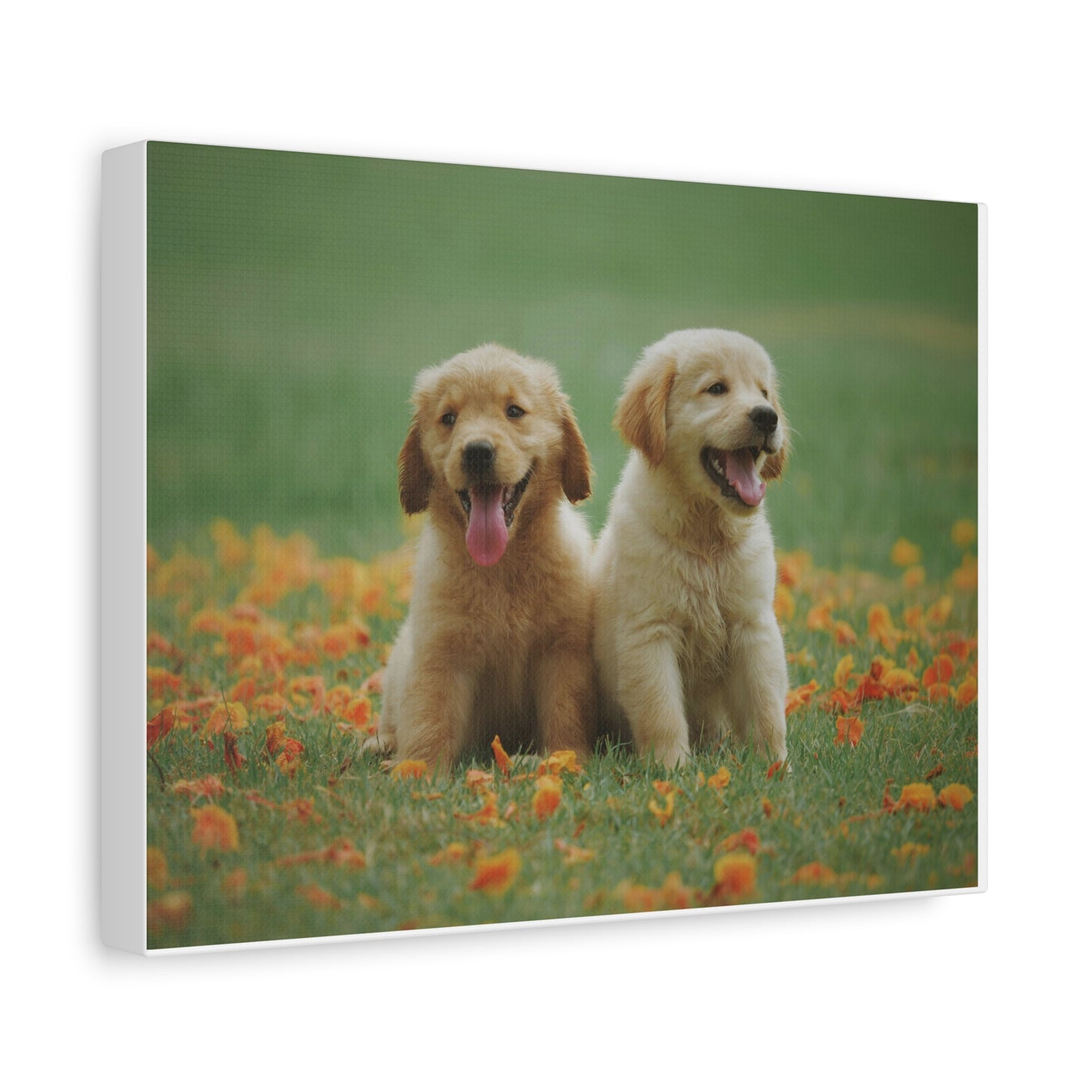 Wall Art for Dog Lovers